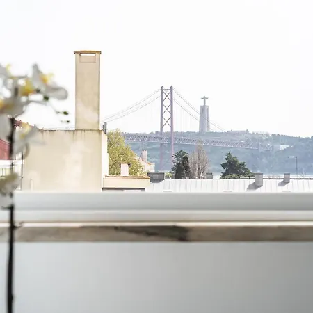 Akicity Ajuda Curl *