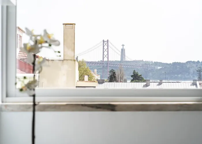 Akicity Ajuda Curl *