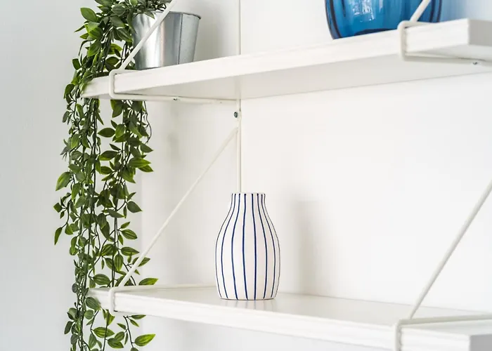 Akicity Ajuda Curl Lissabon